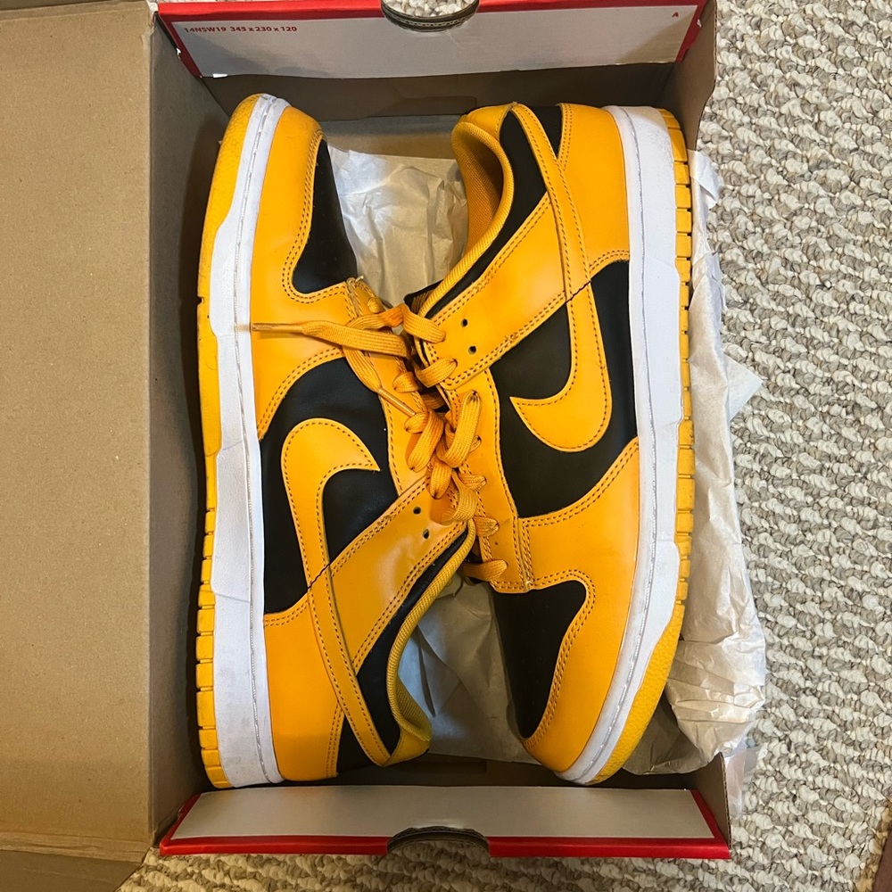 Nike Dunk Size 13